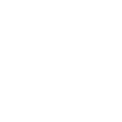 Voleibol